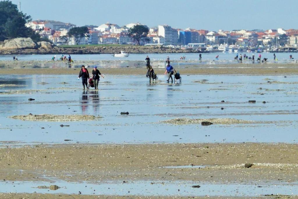 As Rosas Turisticos Cambados